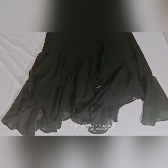 Sandra Darren dressy skirt with Beautiful beaded bottom, size 10 - Picture 6 of 7